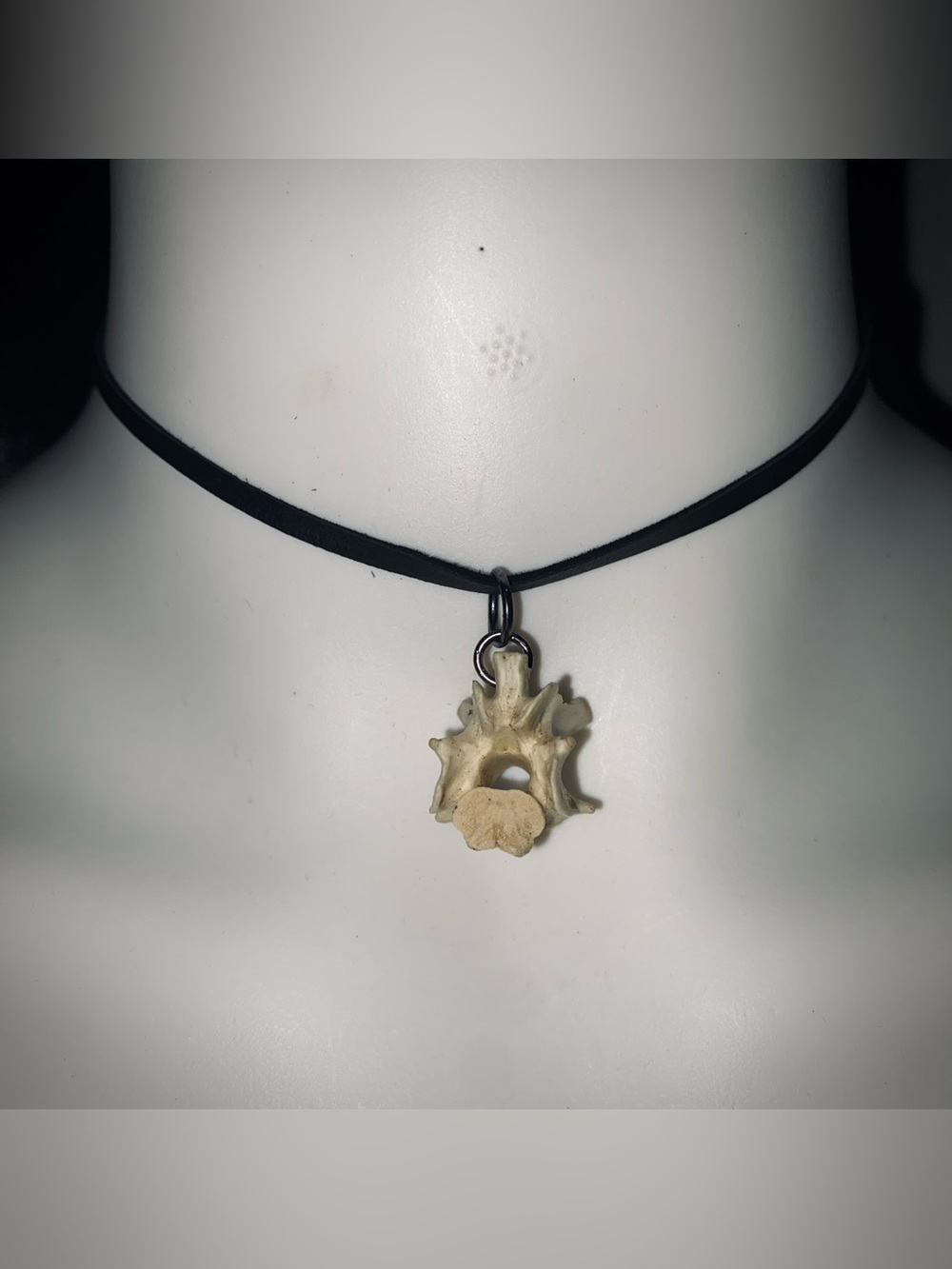 possum vertebrae bone choker